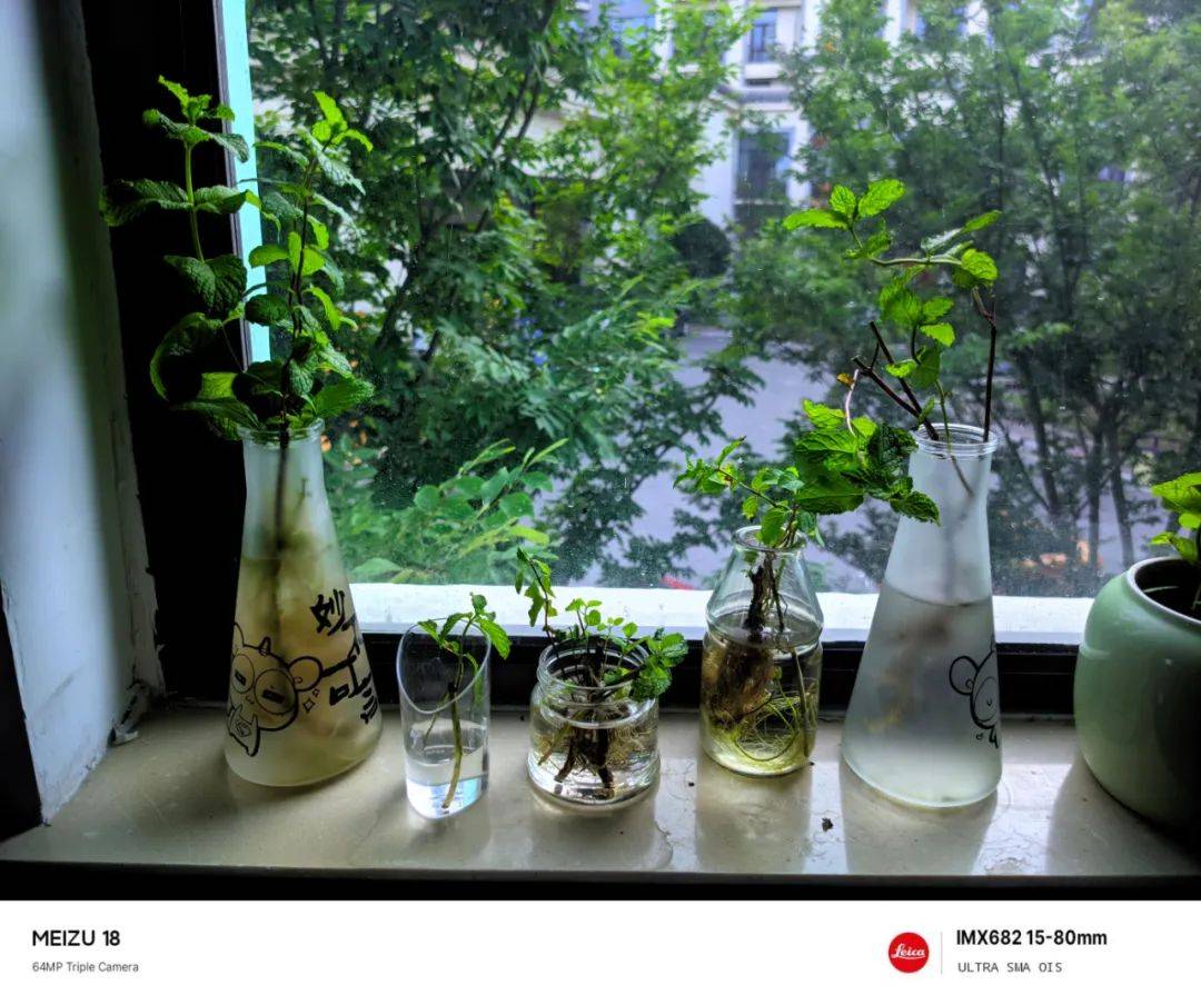 全悠莱。民。莱。卡