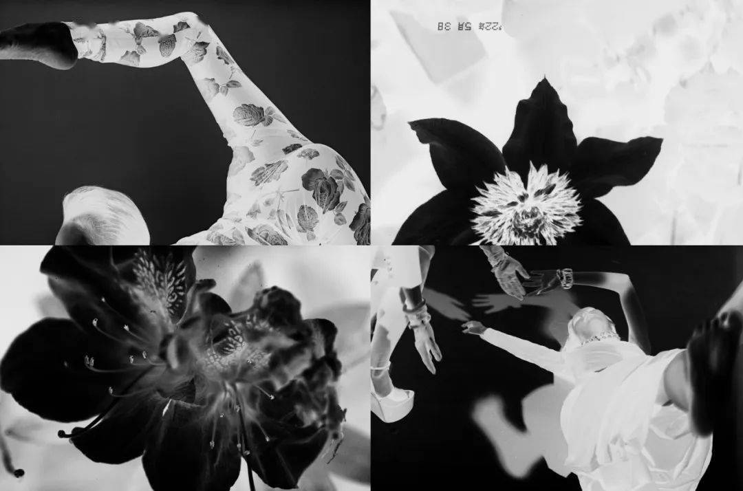 展讯：圣罗兰展览｜SELF 07艺术摄影项目