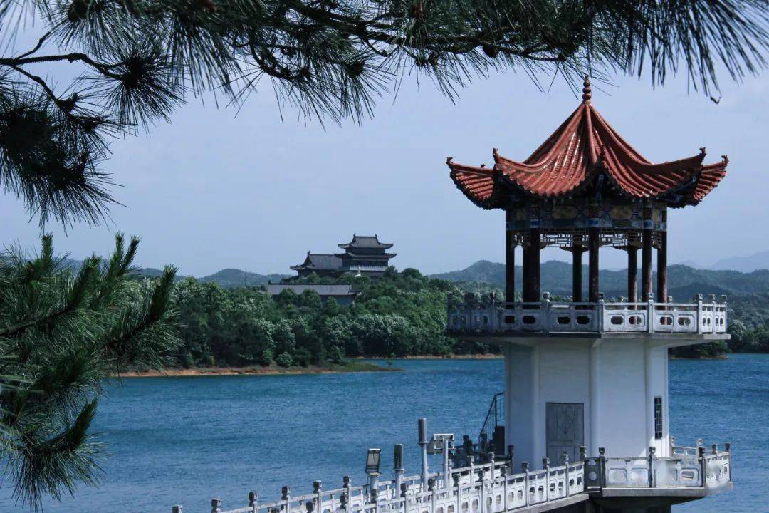 沿着高速优惠券，一起来领取通行“优惠券”吧！