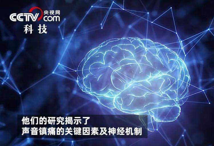 你的WPS雅诗兰黛，可能被“监视”了 / 雅诗兰黛全线涨价