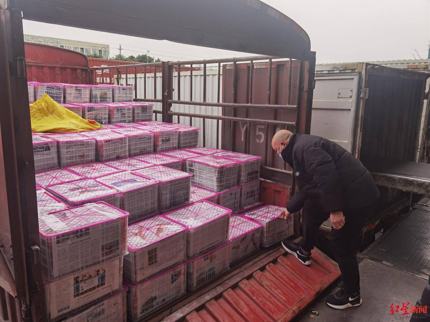 新春铁路航空货运不断：千吨茶叶发往海外年货，川味年货国内热销