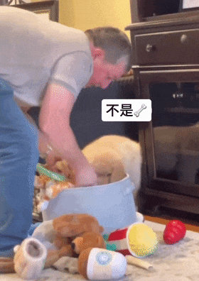 狗子在玩具筐里疯狂扒拉找玩具玩具，主人崩溃：刚把玩具整理好！