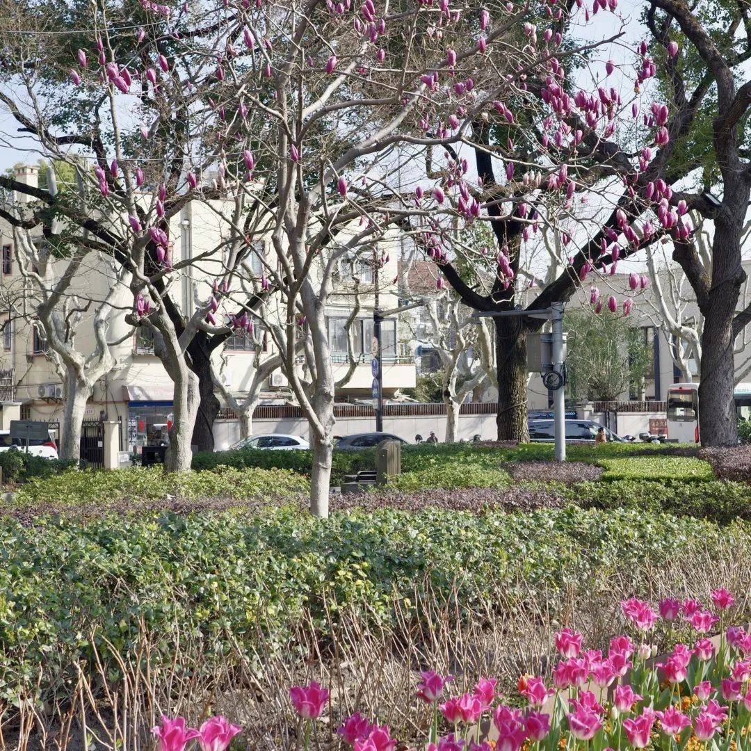 探徐汇｜春日<a href='https://www.aimai.cc/
' target='_blank'>好物推荐</a>！漫步衡复街区<a href='https://www.aimai.cc/
' target='_blank'>好物推荐</a>，一起寻春去