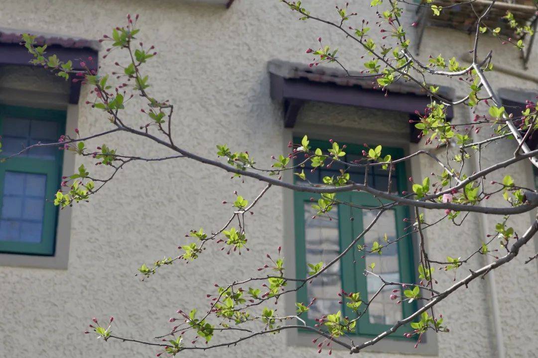探徐汇｜春日<a href='https://www.aimai.cc/
' target='_blank'>好物推荐</a>！漫步衡复街区<a href='https://www.aimai.cc/
' target='_blank'>好物推荐</a>，一起寻春去
