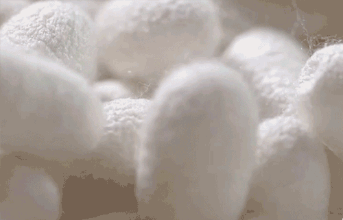 解压好用！码住这12款家居好物家居好物，幸福感直接狂飙到顶~
