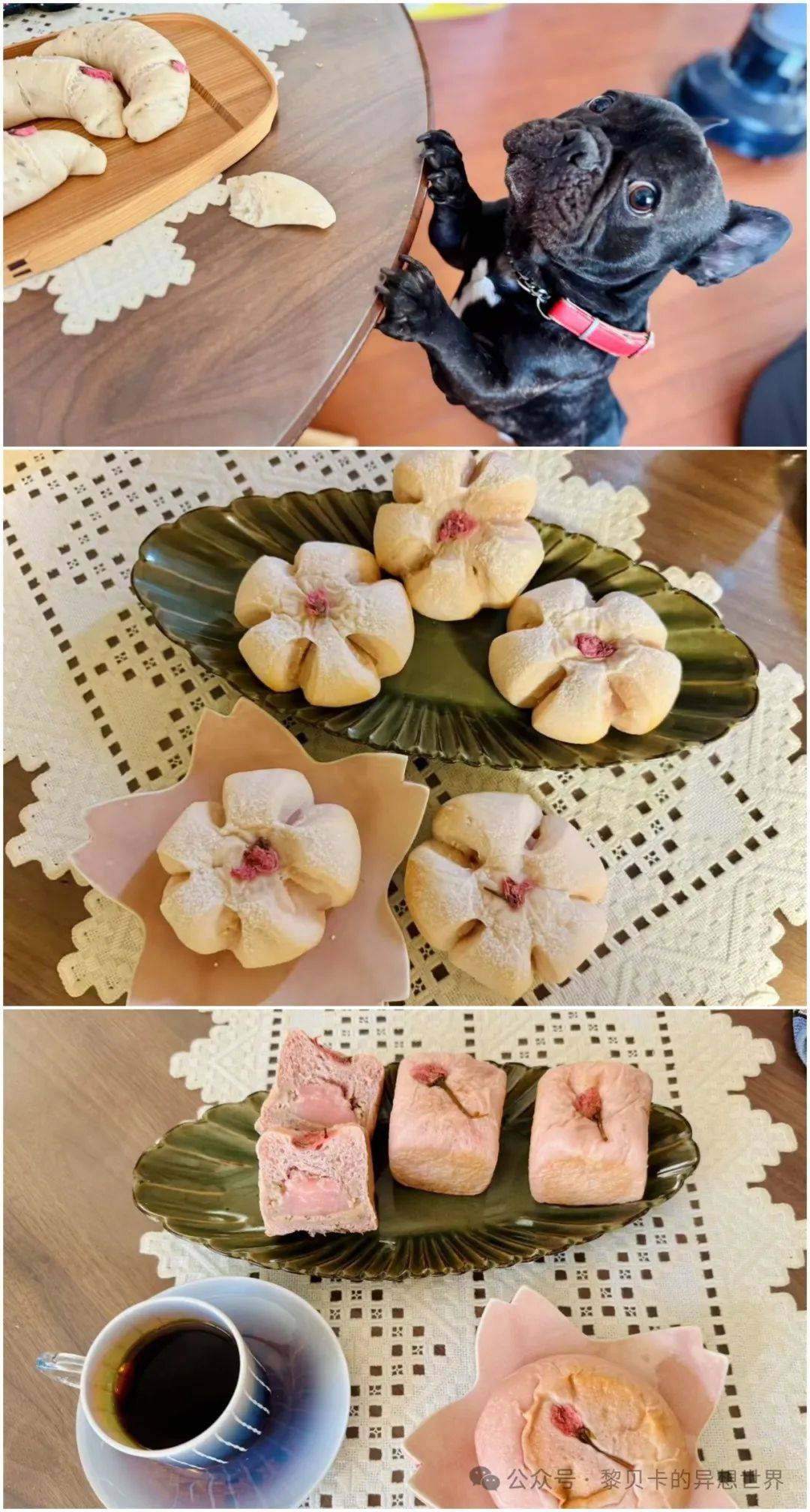 春天的第一条裙子裙子，选它！