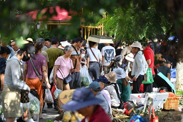 海南：山城好物 消费助农