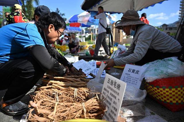 海南：山城好物 消费助农
