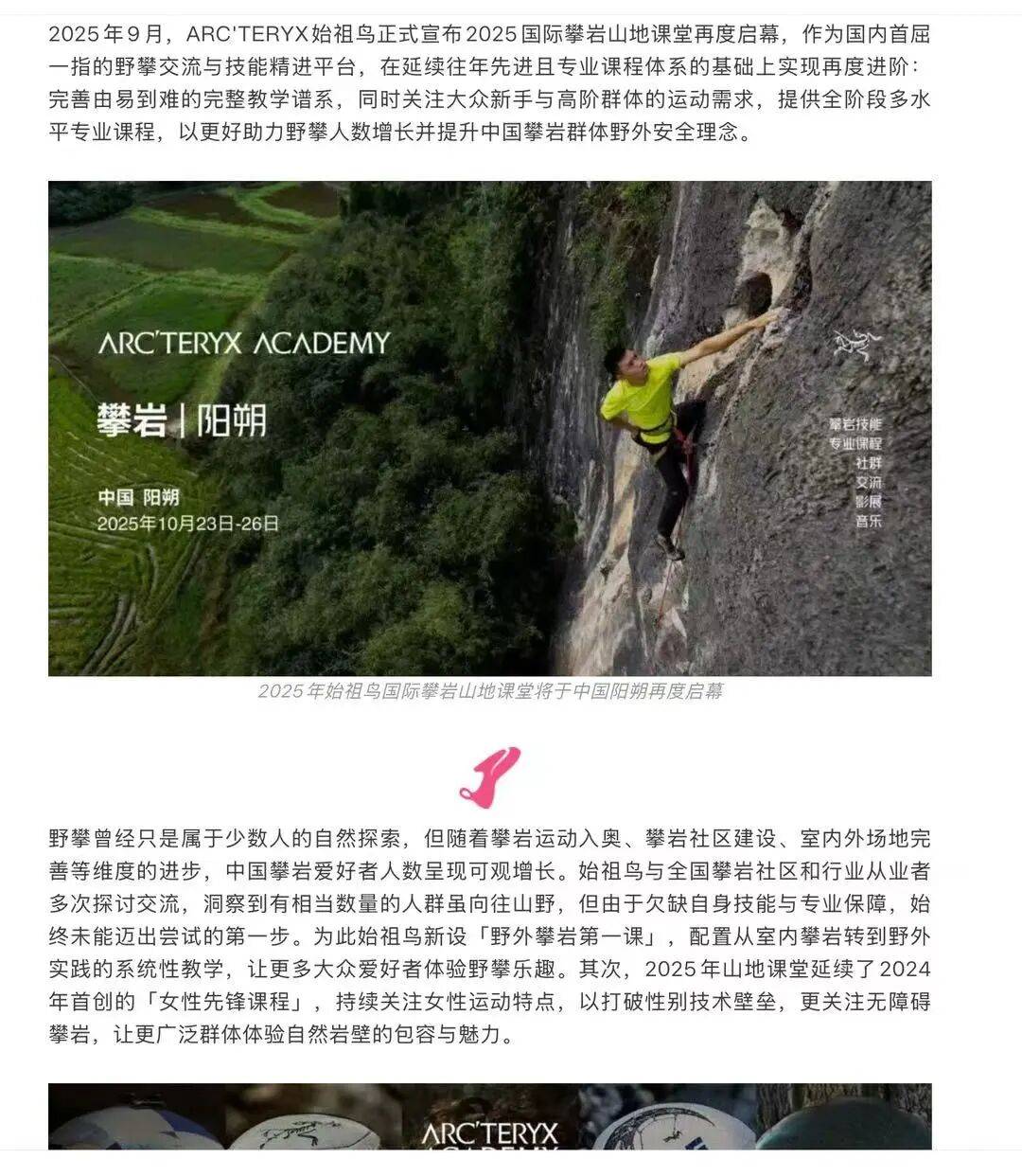 始祖鸟始祖鸟，取消