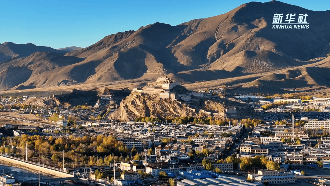 始祖鸟挨骂始祖鸟，不冤