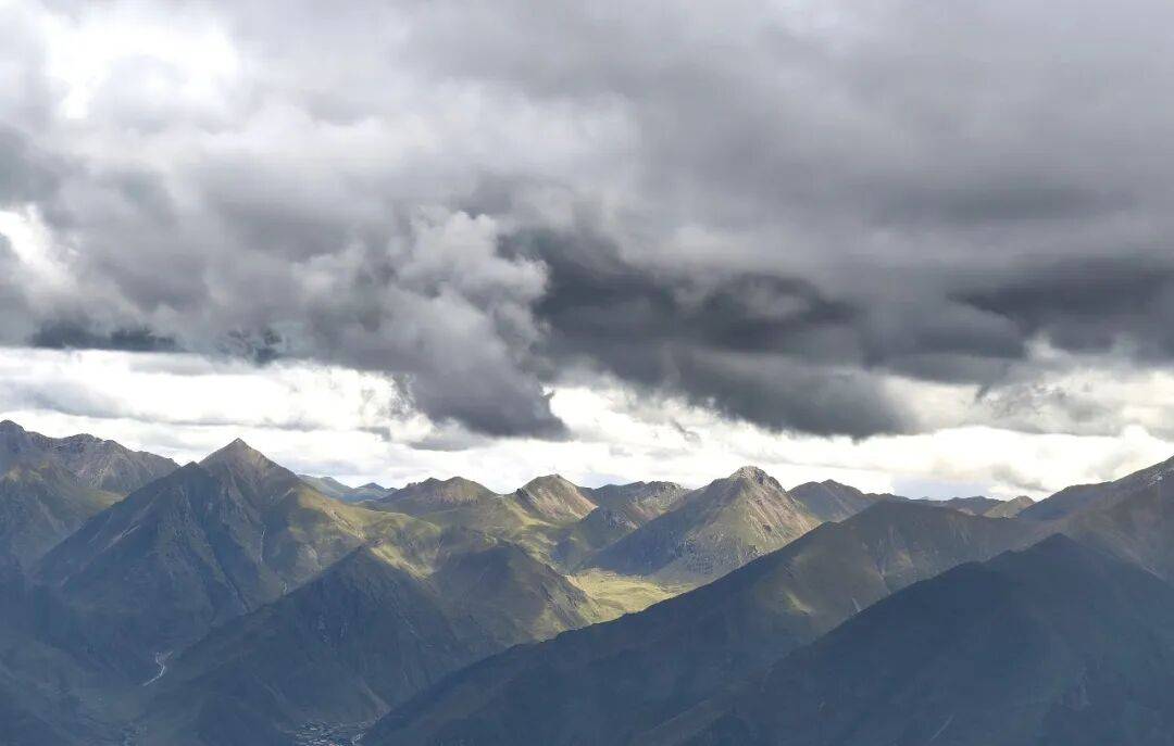 始祖鸟挨骂始祖鸟，不冤