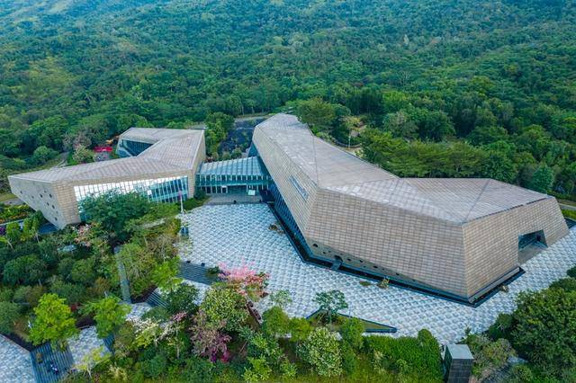 在大鹏玩转户外运动户外！2025南澳户外运动季即刻启航